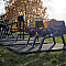 ulichnye-trenazhery RN-4