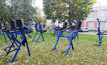 ulichnye-trenazhery RN-10