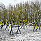 ulichnye-trenazhery RN-11