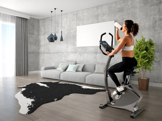 Велотренажер Toorx Upright Bike BRX 95