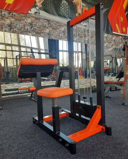 Тренажер Бицепс-машина RN-Sport Imperium