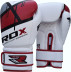 Боксерские перчатки RDX Rex Leather Red 10 ун