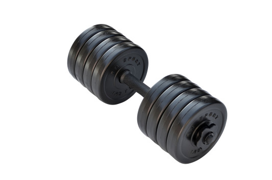 Гантель разборная RN-Sport Long 10 кг