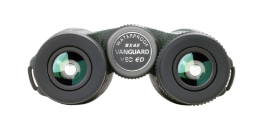Бінокль Vanguard VEO ED 8x42 WP