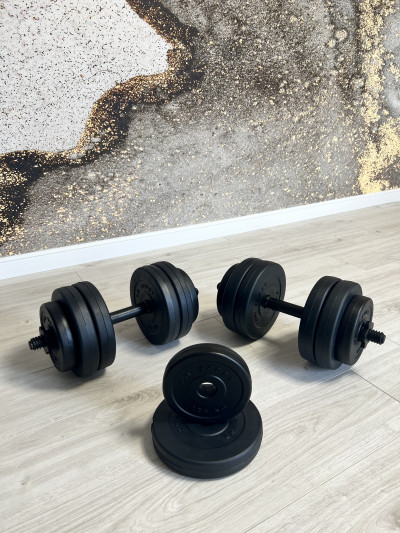 Две гантели по 20 кг + Еспандер в подарок от RN-Sport