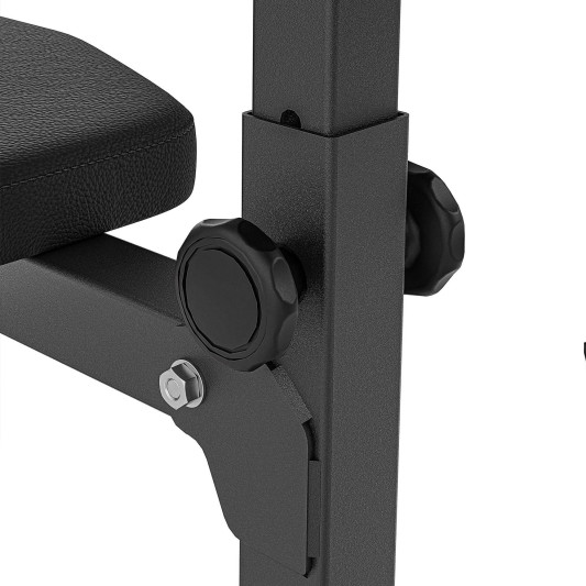 Скамья Скотта Marbo Sport MH-L105