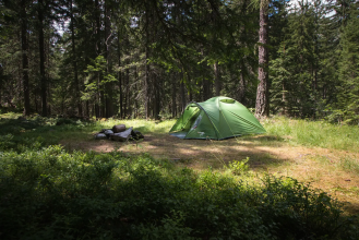 Палатка Vango Tay 400 Treetops