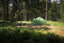 Намет Vango Tay 400 Treetops