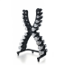 Гантельний ряд Fit-On Chrome Stand X 1-10 кг (110кг)