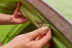 Намет Vango Tay 300 Treetops