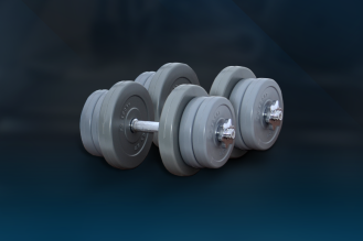 Гантели разборные по 11 кг RN-Sport Gray с хромированными грифами