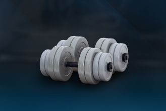 Гантели наборные по 16 кг RN-Sport Gray