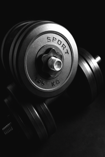 Гантели наборные Prof sport 2х13 кг с защитным покритием