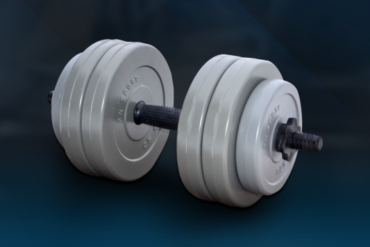 Гантель RN-Sport Gray 13 кг з ABS покриттям