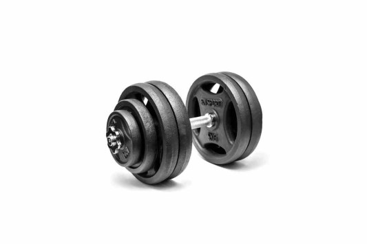 Гантеля розбірна RN-Sport 28 кг металева
