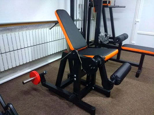 Сгибание-разгибание ног RN-SPORT imperium свободный вес