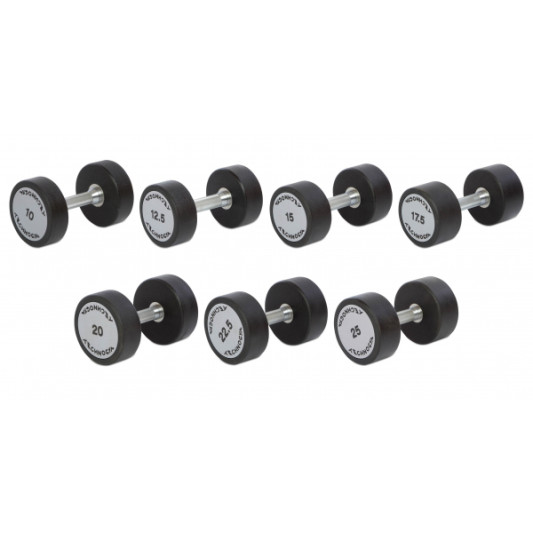 Гантельный ряд 25-50 кг Technogym Цена за 1 кг
