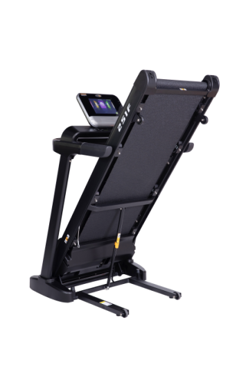 Беговая дорожка Eurofit 251F