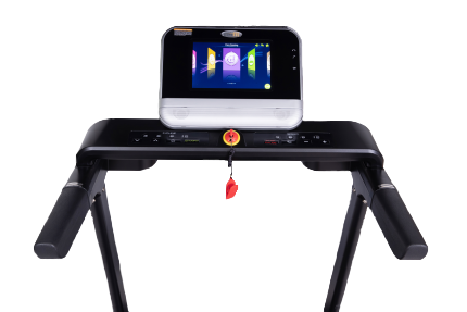Беговая дорожка Eurofit 251F