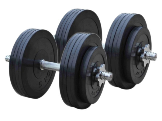 Гантели наборные обрезиненные Rn-Sport (2 шт) по 26 кг