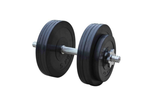 Гантели наборные обрезиненные Rn-Sport (2 шт) по 26 кг