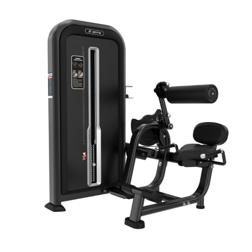Разгибание спины Iron Impulse Abdominal Crunch/Lower Back TY31