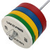 Диски бамперные олимпийские LiveUp LP8332 51 мм 5-10-15-20-25 кг