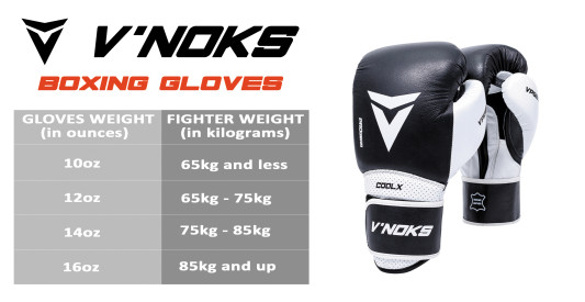 Боксерські рукавиці V`Noks Aria White 16 ун