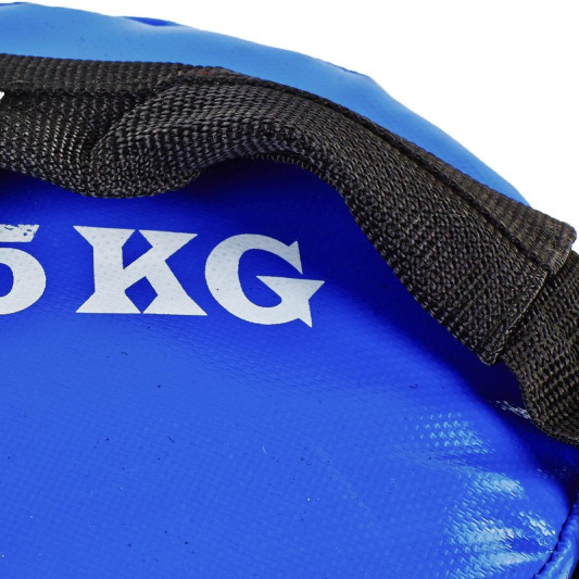 Мешок для кроссфита FI-5050A-15 Power Bag 15 кг черный-синий