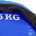Мешок для кроссфита FI-5050A-15 Power Bag 15 кг черный-синий