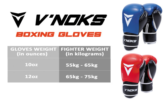 Боксерські рукавиці V`Noks Lotta Blue 10 ун