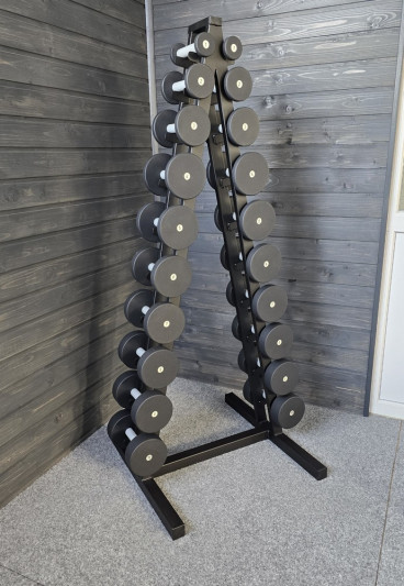 Ряд гантельный RN-Sport BLACK 1-10 кг со стойкой