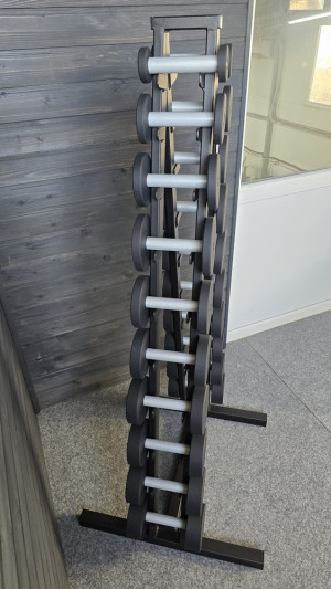 Ряд гантельный RN-Sport BLACK 1-10 кг со стойкой
