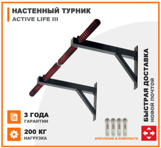 Турник настенный Active Life III