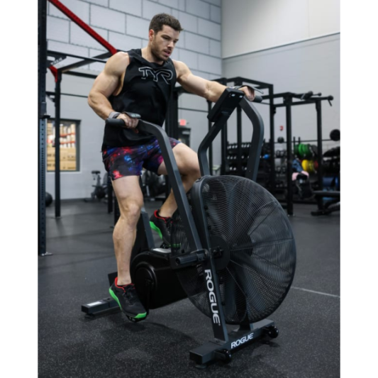 Велотренажер AirBike Rogue Fitness Echo Bike V3.0